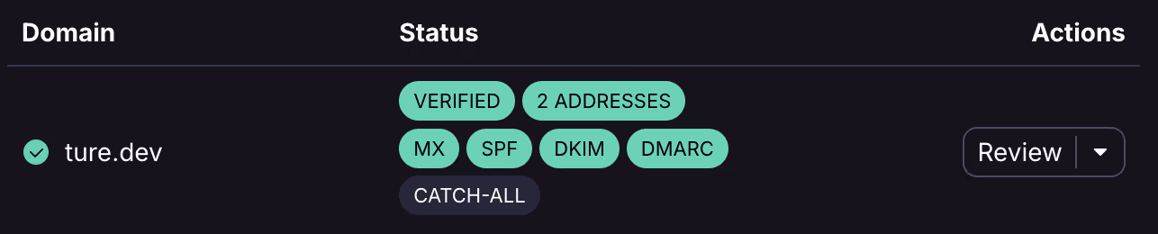 Helpful UI in Proton to indicate domain configuration issues